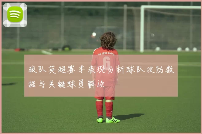 狼队英超赛季表现分析球队攻防数据与关键球员解读