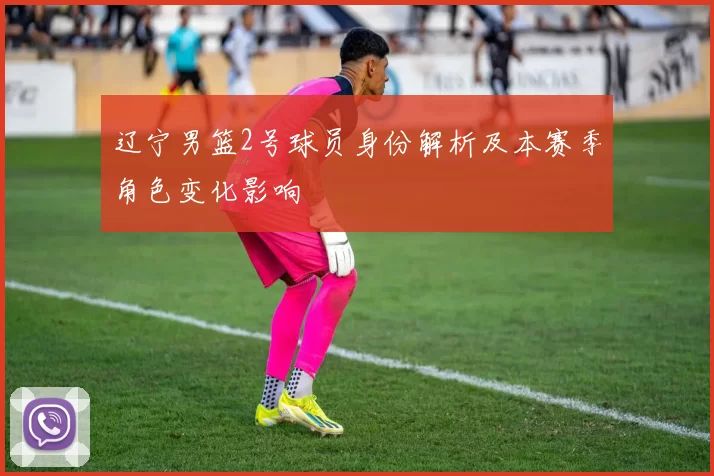 辽宁男篮2号球员身份解析及本赛季角色变化影响