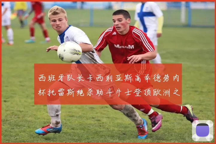 西班牙队长卡西利亚斯高举德劳内杯托雷斯绝杀助斗牛士登顶欧洲之巅