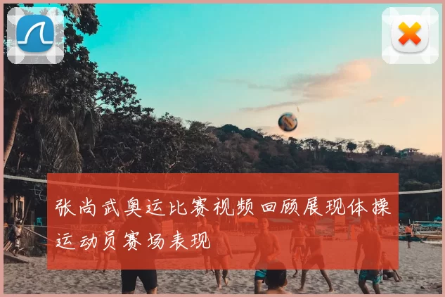 张尚武奥运比赛视频回顾展现体操运动员赛场表现